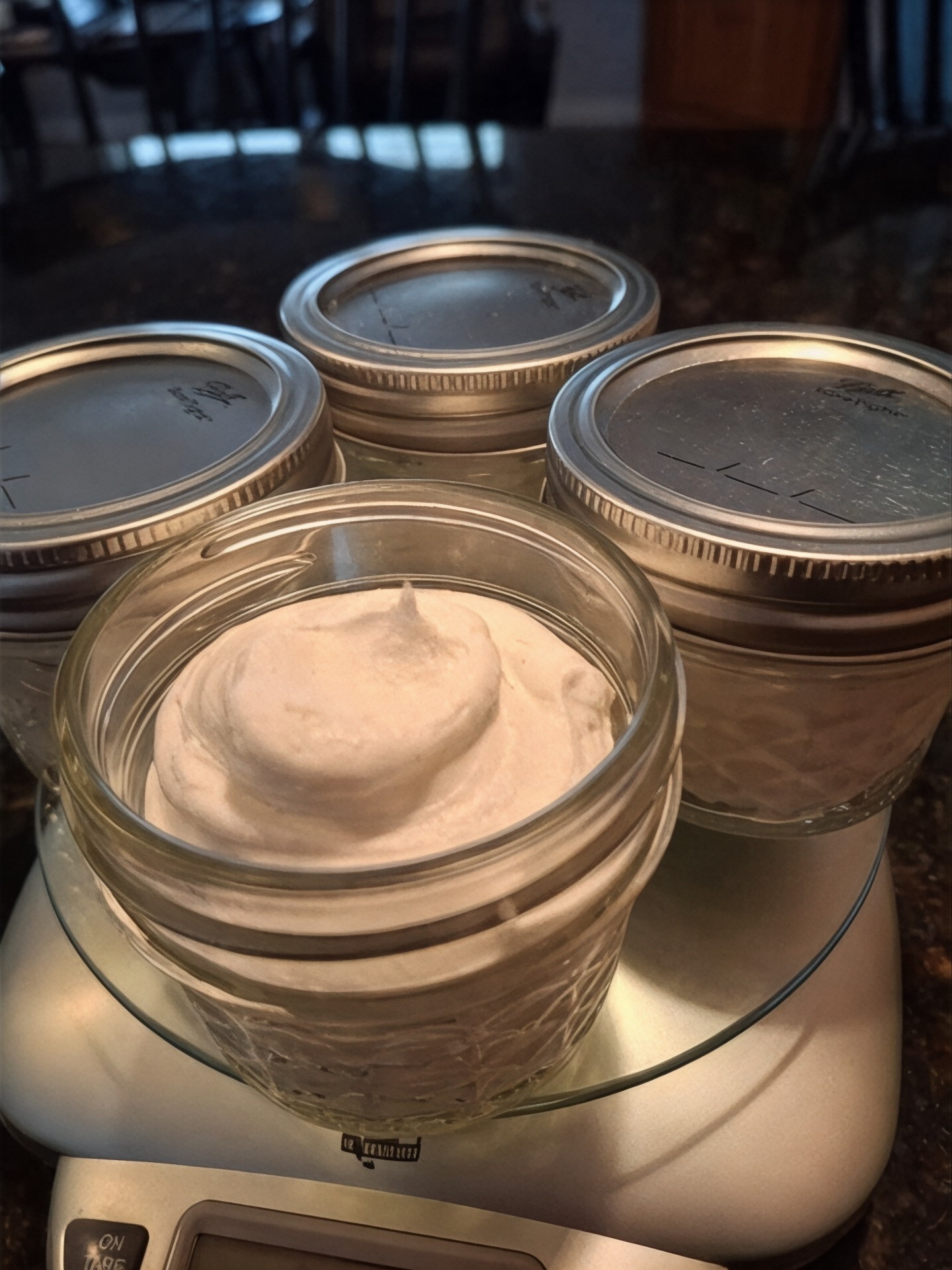 Eucalyptus Mint